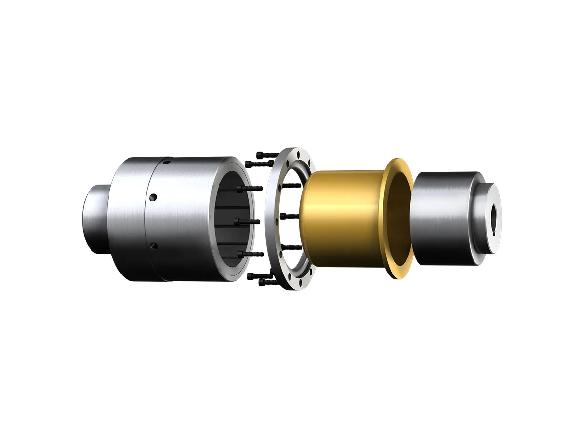 Magnetic coupling shown as separated components